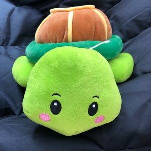 Turtle stuff animal